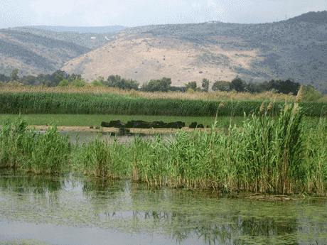 Valle de Hula