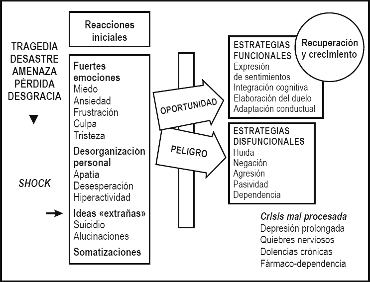 proceso